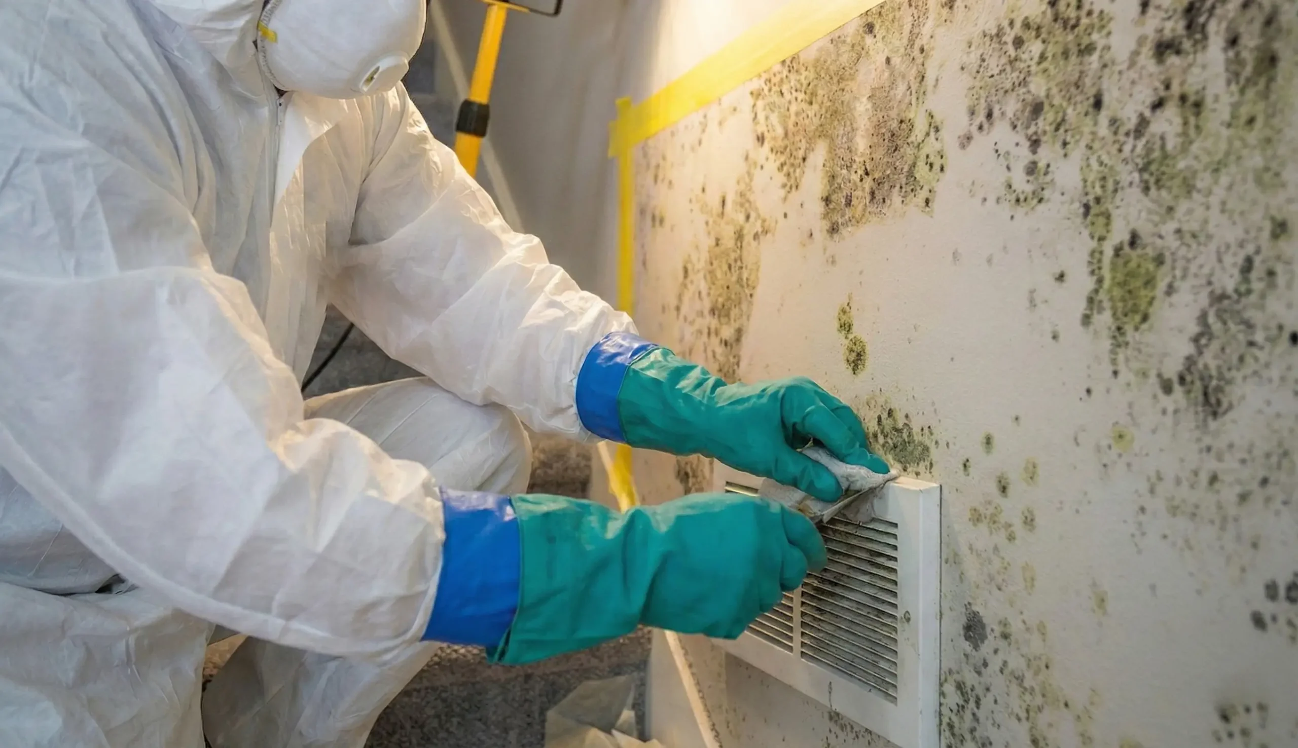 Who We Serve mold scaled